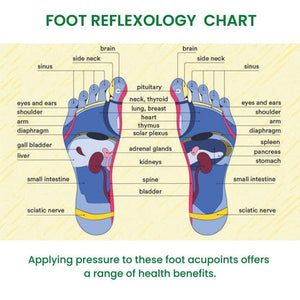 Acupressure Foot Massager Slippers | Pain Relief, Stress Relief | Total Wellness for Men & Women